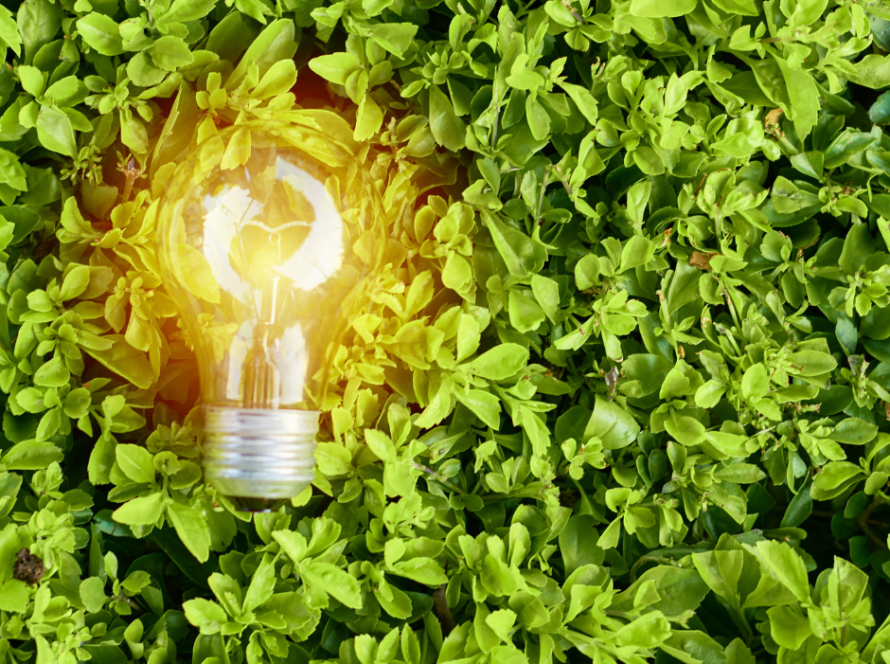 Sustainability at home